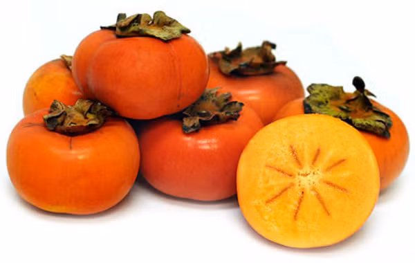 Nhờ những lợi ích sức khỏe to lớn, người xưa từng ví “một quả hồng, mười vị thuốc". Tuy nhiên, câu nói này còn ngầm ý không nên ăn hồng tùy tiện, đặc biệt những trường hợp dưới đây. Nếu không, ăn một quả phải trả giá bằng mười vị thuốc mới có thể hồi phục sức khỏe. Ảnh minh họa.