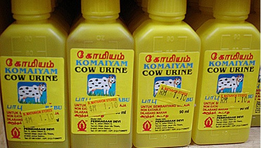 Chúng được đóng chai bán, được cho là không có hóa chất gây hại như các loại nước ngọt thông thường, nhiều giá trị dinh dưỡng có thể chữa bệnh.