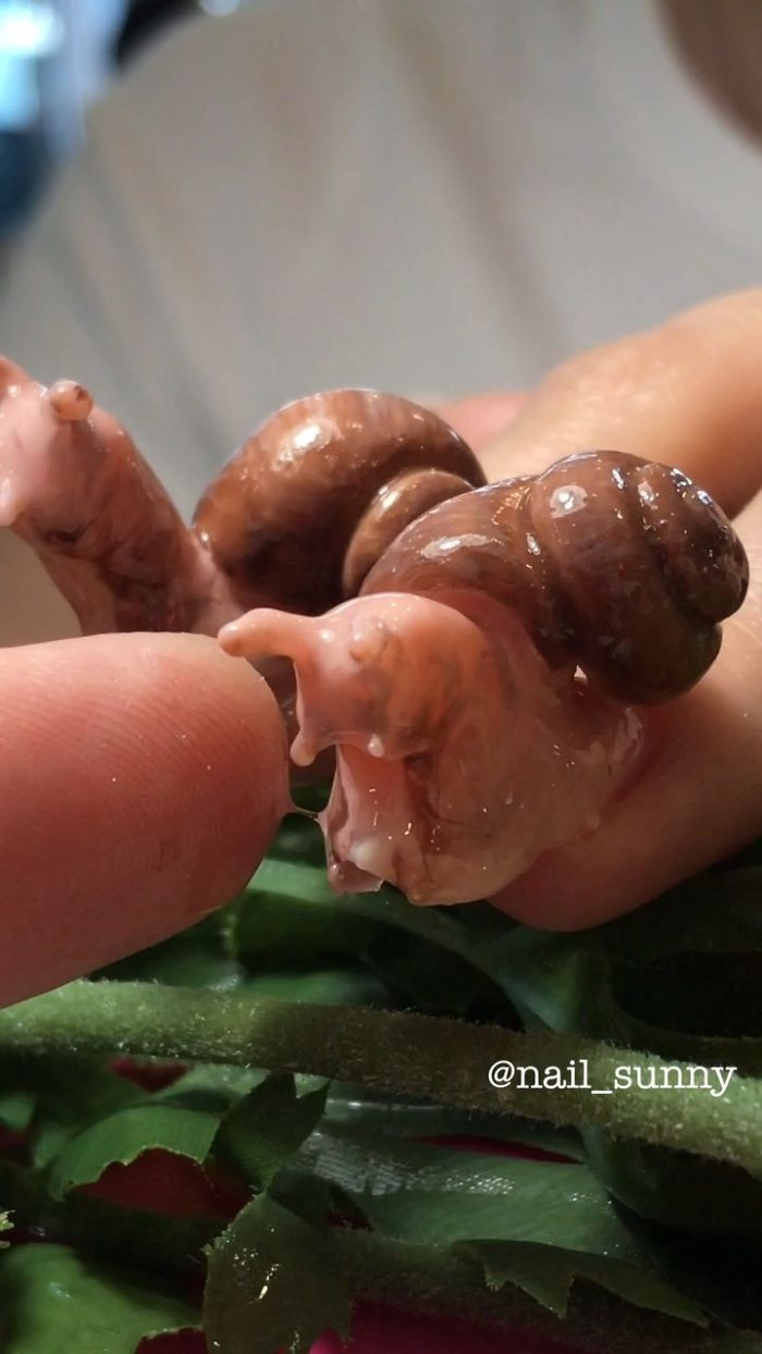 Những chú ốc sên nhão nhoét cũng khiến người khác tránh xa.