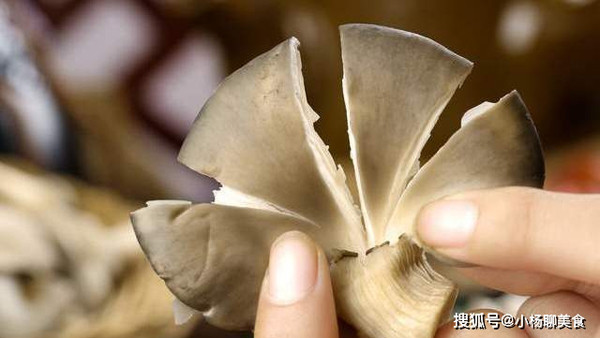 Di cho mua nam, co 4 dac diem nay tuyet doi khong chon