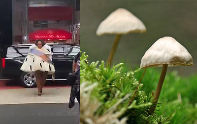 Mặc chiếc áo giả lông thú xòe rộng, nhìn từ xa nữ ca sĩ không khác gì một cây nấm.