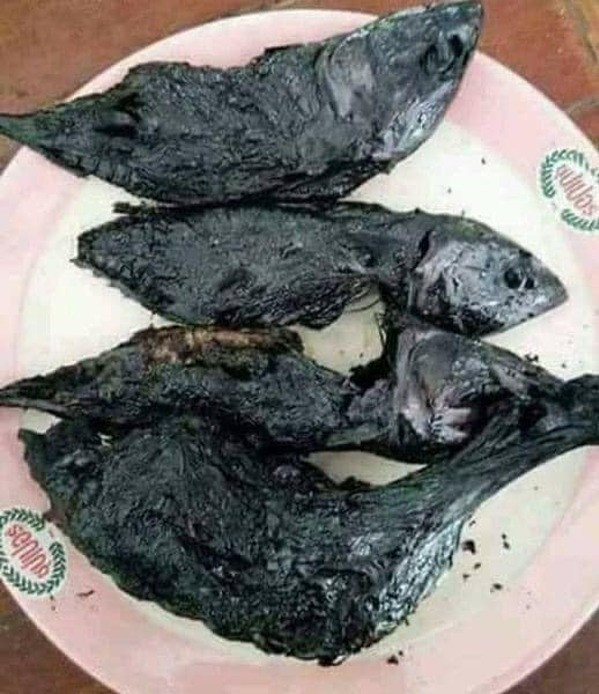 Món cá này đã cháy thành than, sẽ ra sao nếu bếp vẫn hoạt động và mọi thứ trong bếp tăng nhiệt dần?