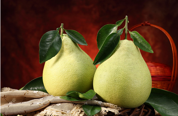 Để có được quả bưởi tươi ngon ý nghĩa, người bán hàng lâu năm tiết lộ nên chọn những trái có phần cổ ngắn, phần dưới rộng và phẳng tương tự như giọt nước. Chú ý chọn quả có lớp vỏ căng bóng, cầm chắc và nặng tay.