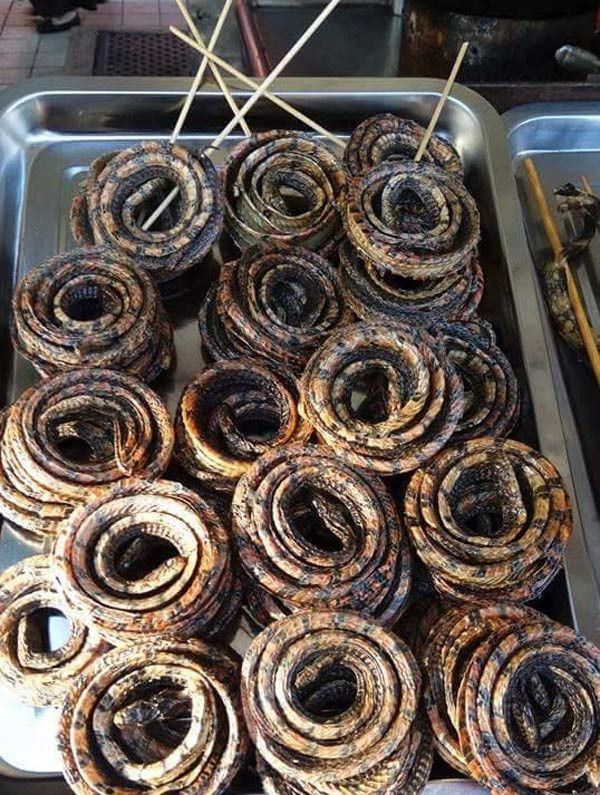 Khó ai tin nổi món cuộn này từ những chú rắn.