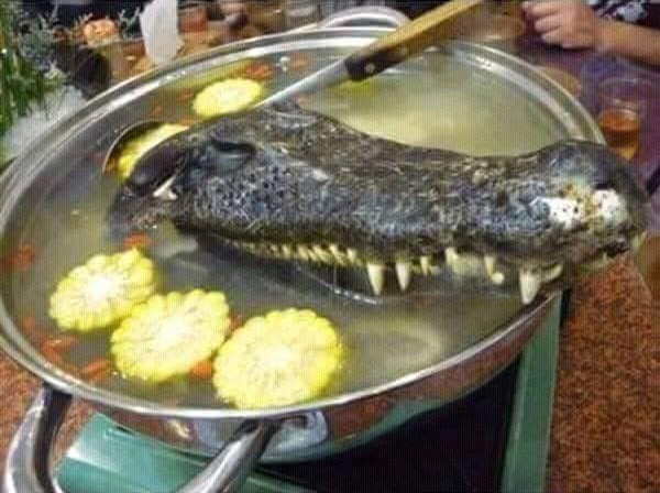 Lẩu đầu cá sấu