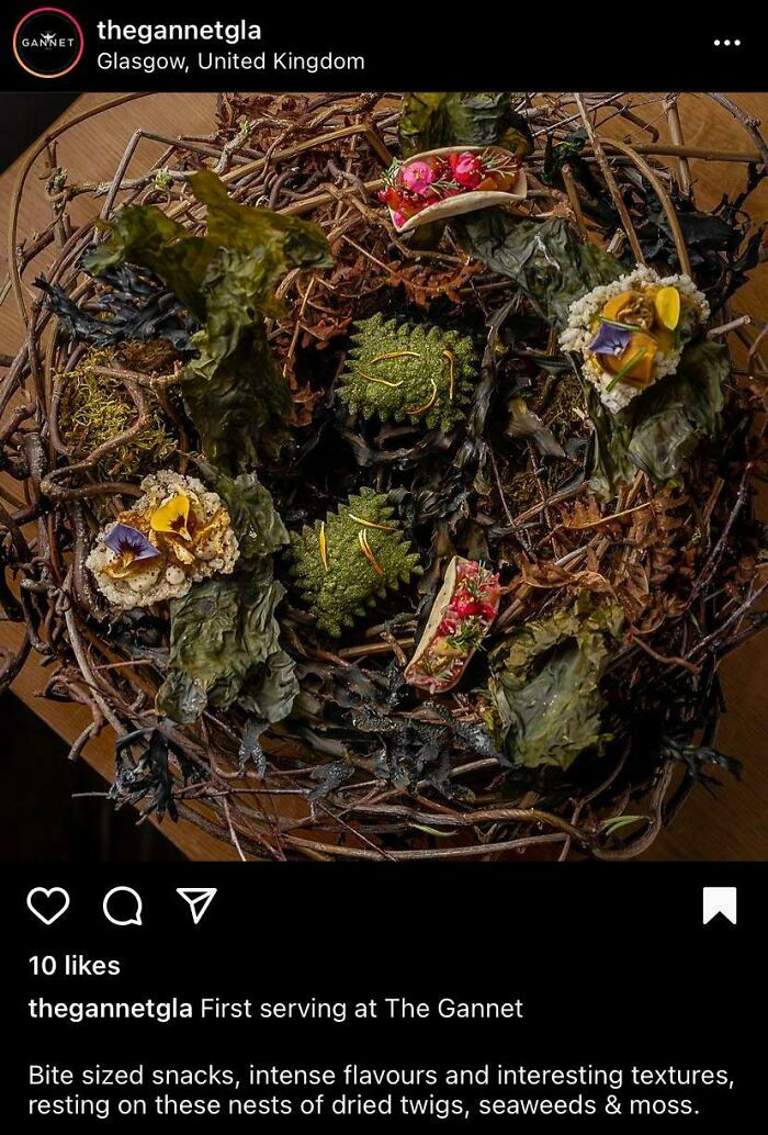 Đồ ăn được bày trong tổ. Quả là có những thứ chỉ nên để ngắm chứ không ăn!