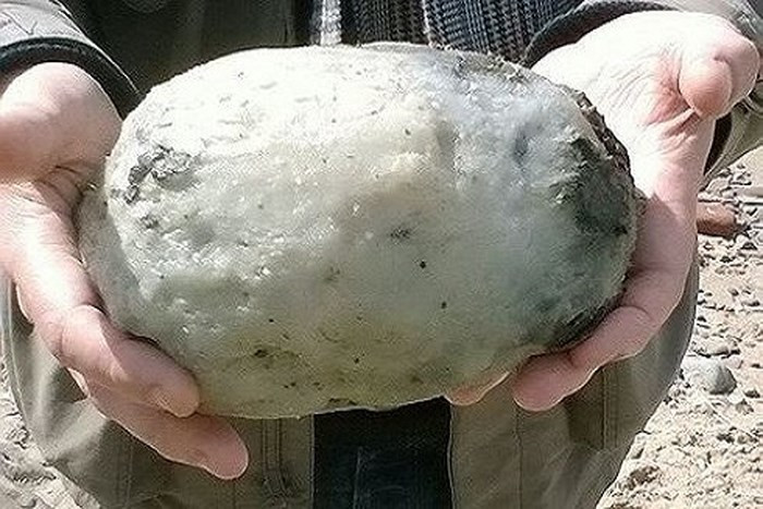 Rất nhiều người đã trở thành tỷ phú sau một đêm nhờ bắt được những khối long diên hương như vậy.