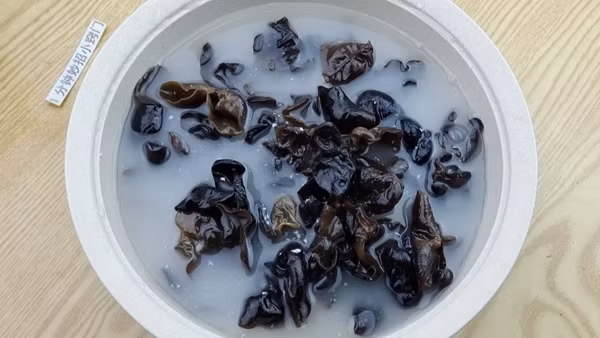 Rua moc nhi bang nuoc chua du, them buoc nay moi het trung con trung-Hinh-8