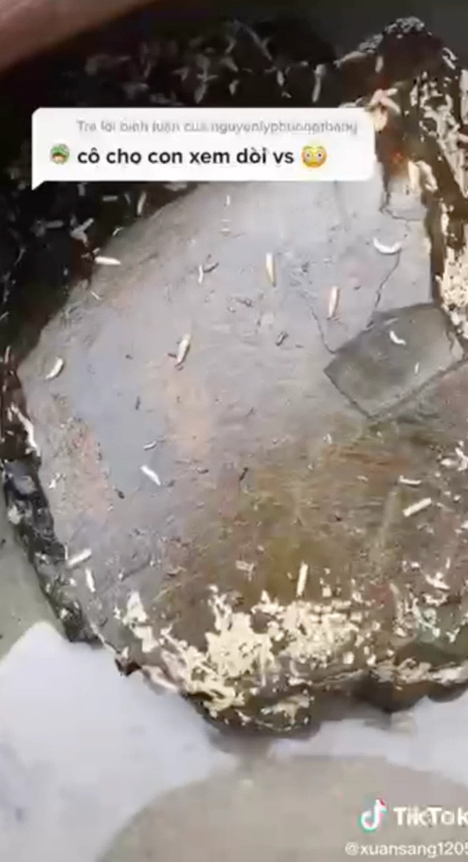 Điều thú vị là theo trải nghiệm của nhiều người miền Tây, mắm phải có giòi mới là mắm ngon.