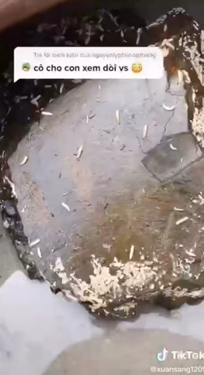 Điều thú vị là theo trải nghiệm của nhiều người miền Tây, mắm phải có giòi mới là mắm ngon.