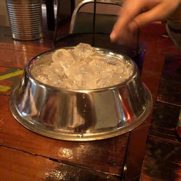 Đừng nói là hết cốc nên chủ nhà dùng tạm bát ăn của cún để lấy đá cho khách.