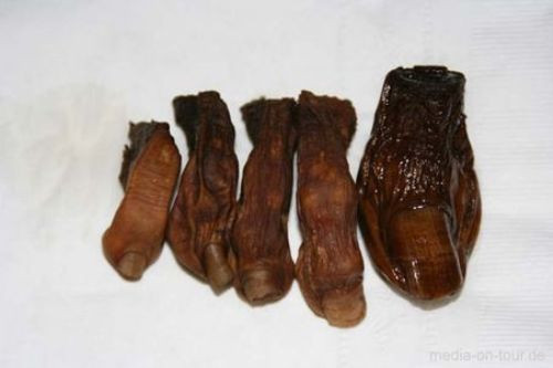 Sau này, thêm 8 ngón chân được hiến tặng cho Sourdough Saloon. Đa số là những ngón chân từ những bệnh nhân hoặc người gặp tai nạn.