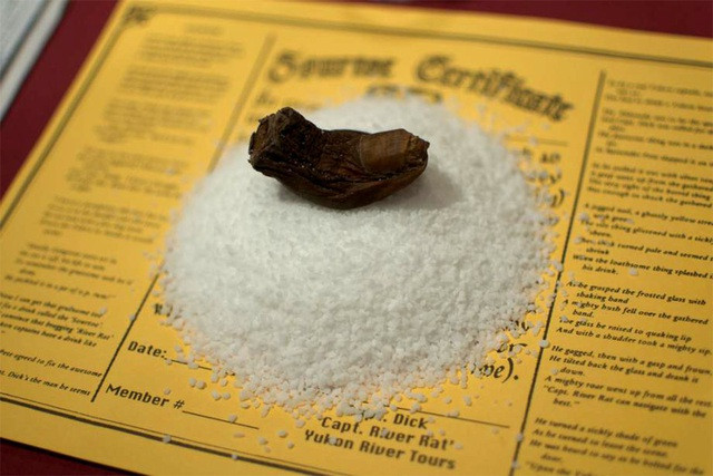 Năm 1973, thuyền trưởng Dick Stevenson phát hiện ra bình rượu lạ khi dọn dẹp khoang tàu.