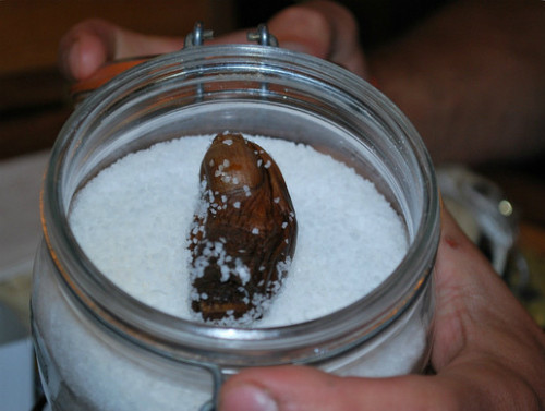 Lịch sử món đồ uống được cho bắt đầu từ năm 1920. Trong một trận bão tuyết khủng khiếp, Louie Like - một thợ mỏ - đã phải làm việc lâu dưới cái lạnh khiến ngón chân bị đông cứng và buộc phải cắt bỏ.