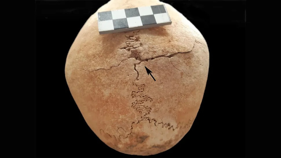 Các chuyên gia bất ngờ khi phát hiện hài cốt của một phụ nữ nghi nữ chiến binh thời Trung cổ được chôn cùng 23 tu sĩ trong cuộc khai quật tàn tích một lâu đài cổ ở Tây Ban Nha.