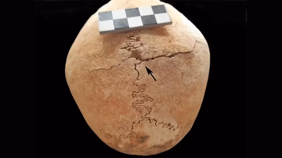 Các chuyên gia bất ngờ khi phát hiện hài cốt của một phụ nữ nghi nữ chiến binh thời Trung cổ được chôn cùng 23 tu sĩ trong cuộc khai quật tàn tích một lâu đài cổ ở Tây Ban Nha.