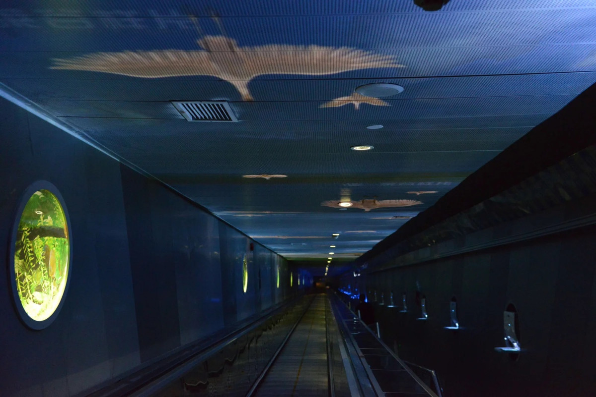 Bảo tàng Dưới nước Baiheliang nằm ở độ sâu khoảng 40m bên dưới sông Dương Tử. Khi ghé thăm bảo tàng Dưới nước Baiheliang, du khách sẽ đi tới hành lang dưới nước của nơi này bằng cách sử dụng thang cuốn dài hơn 90m, dốc 40 độ.