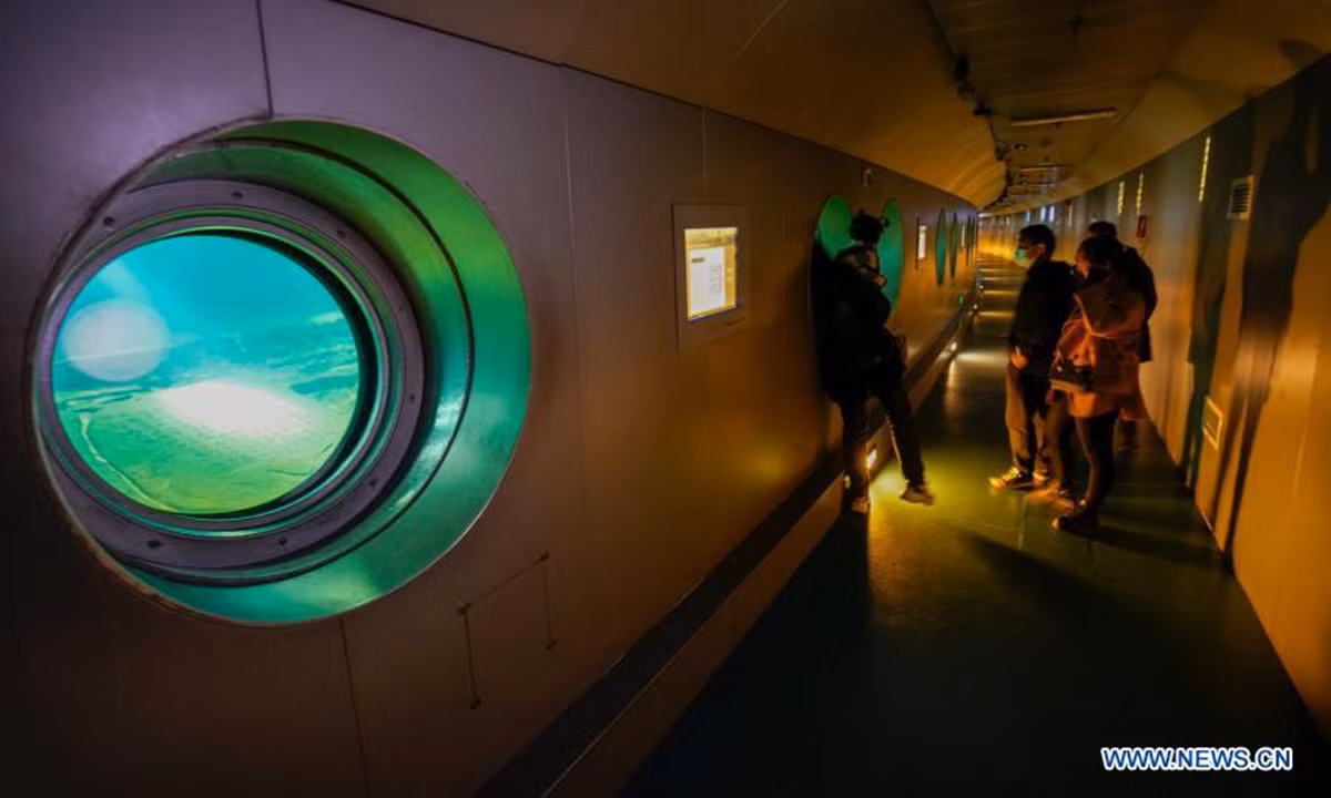 Nhờ những dữ liệu quan trọng được lưu giữ suốt nhiều năm, các chuyên gia có thể tìm hiểu về cuộc sống của con người trong quá khứ. Do đó, con đập Baiheliang đuợc mệnh danh là trạm thủy văn cổ đại đầu tiên trên thế giới.