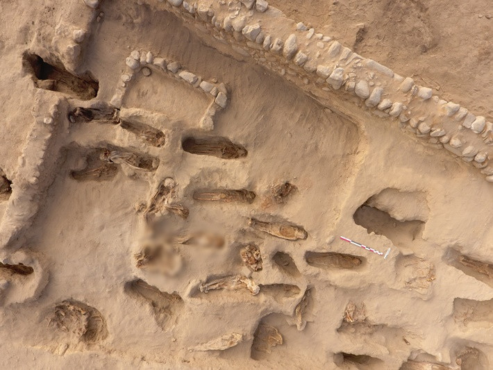 Khoảng 75 - 90% số hài cốt được tìm thấy là trẻ em. Trong số này, khoảng 60 - 67% là trẻ em dưới 5 tuổi. Những đứa trẻ này thuộc nhóm đối tượng dễ bị tổn thương nhất do hệ thống miễn dịch yếu. Chúng chết vì các căn bệnh có sự lây lan nhanh, bao gồm bệnh đậu mùa.