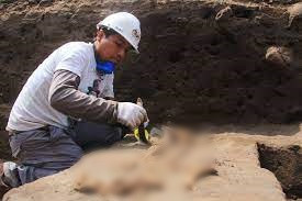 Nhóm nghiên cứu cho rằng, ngoài chiến tranh, bệnh tật là một trong những nguyên nhân lớn khiến đế chế Inca suy tàn. Ngoài 2 bộ hài cốt trẻ em được phát hiện tử vong vì bệnh đậu mùa, họ đã khai quật được 120 ngôi mộ tại Huanchaco.