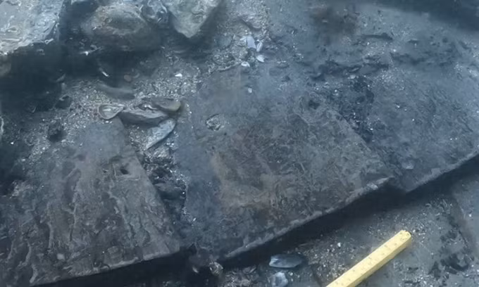 Qua kiểm tra, các chuyên gia khảo cổ xác định con tàu làm từ gỗ sồi Ireland. Quá trình phân tích vòng tuổi của cây hé lộ, những cây này bị đốn hạ khoảng năm 1242 - 1265 (tức dưới triều đại của vua Henry III).