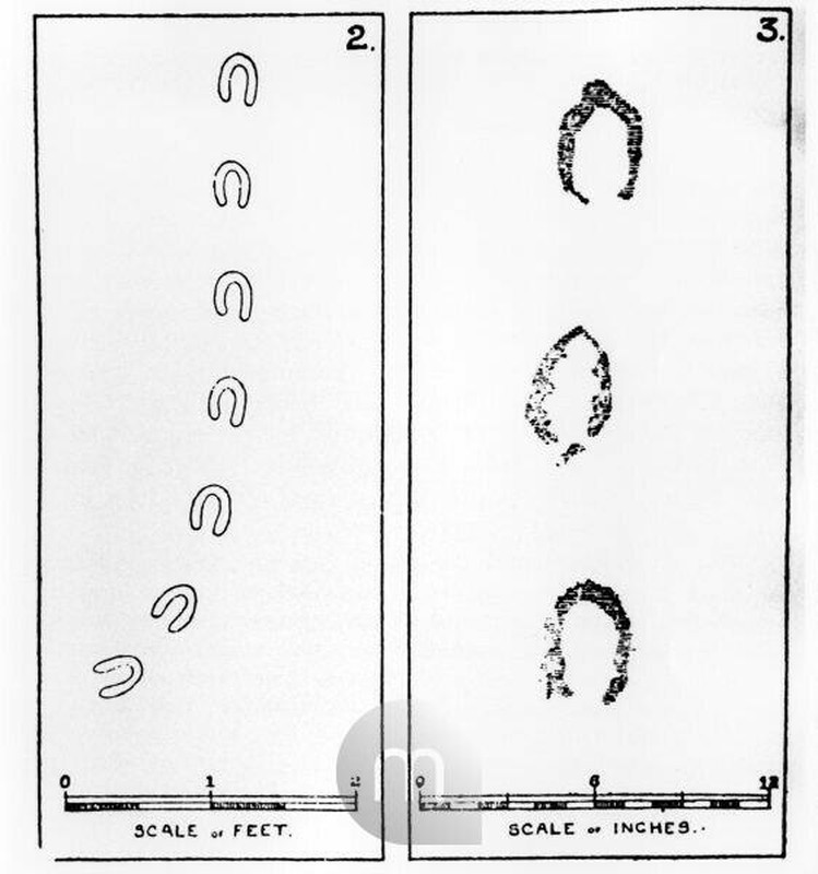 Suốt thời gian qua, nhiều chuyên gia đã thực hiện các nghiên cứu nhằm giải mã bí ẩn về những "dấu chân quỷ" ở Devon nhưng đến nay vẫn chưa thành công. Theo đó, đây là một trong những bí ẩn lâu đời nhất tại hạt Devon cũng như thế giới.