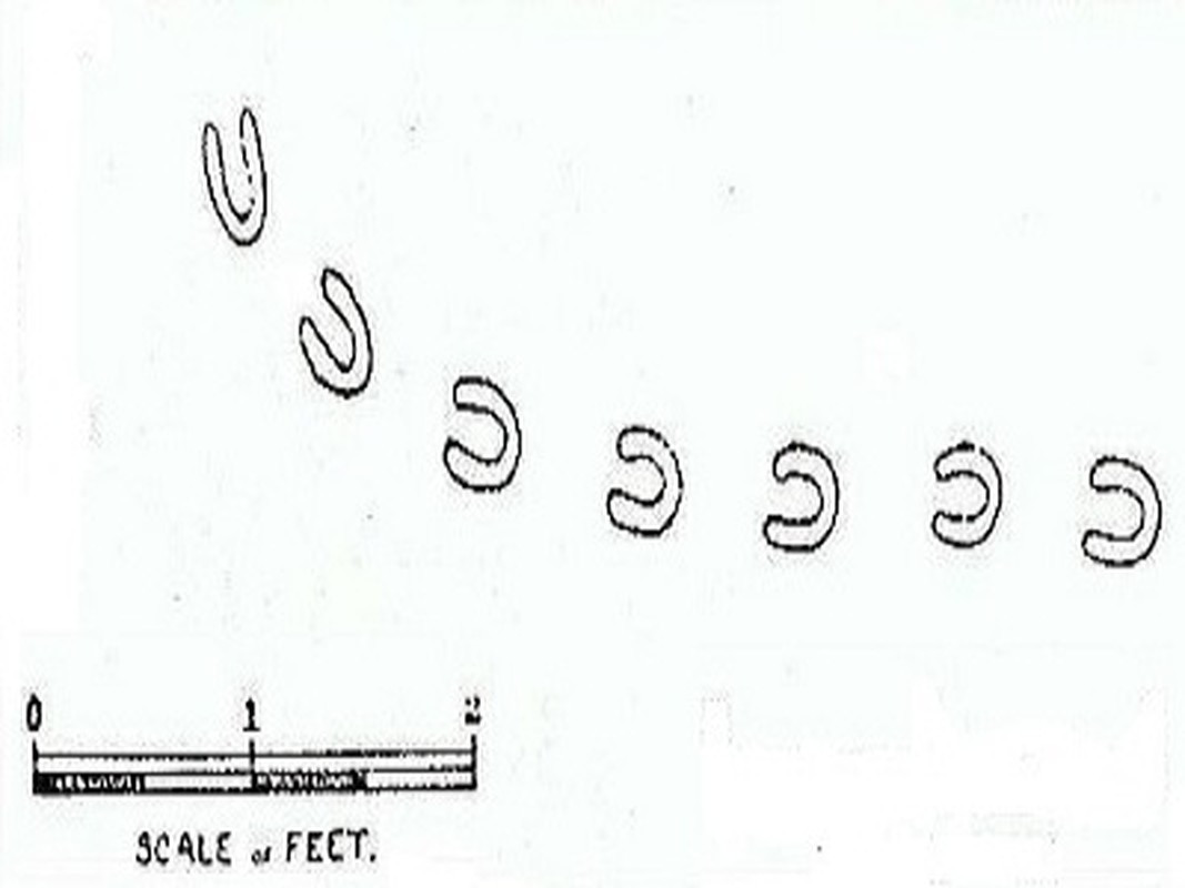 Tuy nhiên, người ta nhanh chóng bác bỏ những giả thuyết trên vì những động vật này không thể để lại dấu chân trên các bức tường cao hay đường ống hẹp.