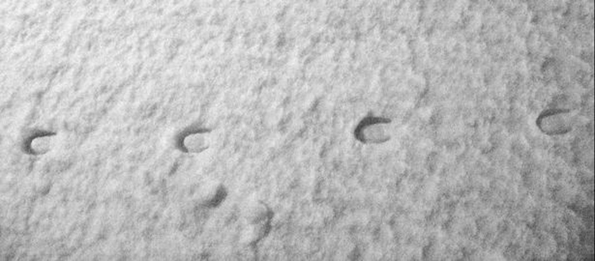 Những người này cố tình tạo ra hàng loạt dấu chân bí ẩn khắp Devon để khiến mọi người lo lắng, hoảng sợ qua đó nhận được sự chú ý lớn từ công chúng.