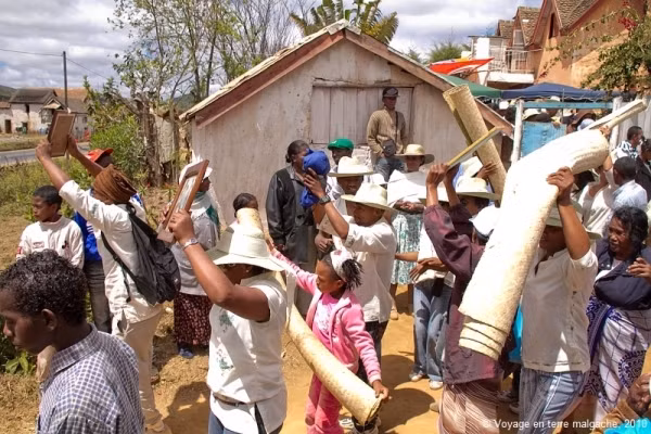 Rung minh nhung tap tuc doc la, quai di tren the gioi