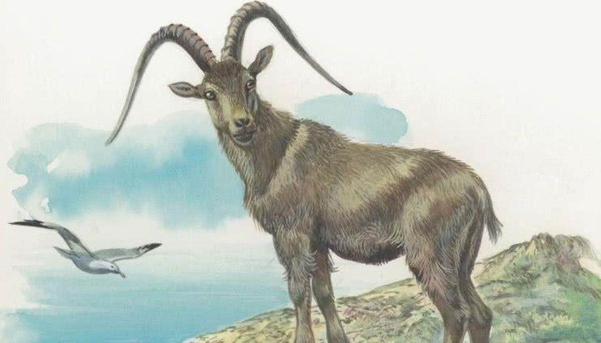 Vận thế ngày 24/6/2024 của người tuổi Mùi thay đổi. Tình cảm: Tuổi Mùi không vì chuyện tình cảm mà thay đổi mục tiêu, ước mơ. Công việc: Người tuổi Mùi thay đổi phương pháp tiếp cận vấn đề qua đó tìm ra cách làm hiệu quả hơn. Tiền bạc: Con giáp này trích một phần quỹ dự phòng vào việc sửa sang nhà cửa.