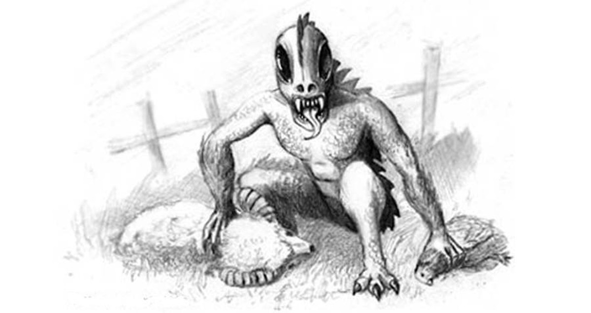 Một số nhân chứng tuyên bố đã nhìn thấy quái thú Chupacabra và có những mô tả về nó. Theo lời kể của họ, Chupacabra có cơ thể khá trần trụi do có rất ít lông.