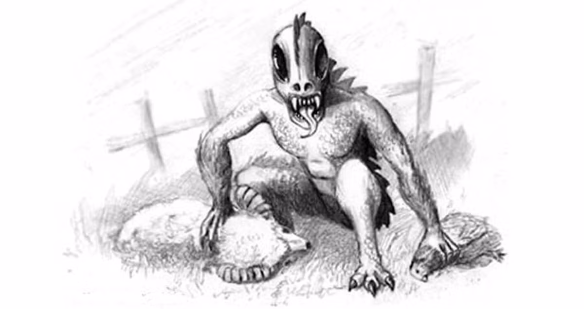 Một số nhân chứng tuyên bố đã nhìn thấy quái thú Chupacabra và có những mô tả về nó. Theo lời kể của họ, Chupacabra có cơ thể khá trần trụi do có rất ít lông.