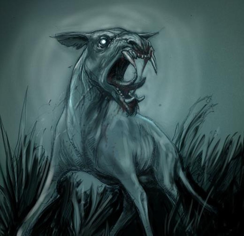 Điểm đặc biệt của "quỷ hút máu dê" là có những chiếc răng nanh sắc nhọn giống như ma cà rồng. Sinh vật hung ác bí ẩn này đã tấn công rồi hút cạn máu con mồi bằng cách đâm sâu những chiếc răng nanh sắc nhọn vào.