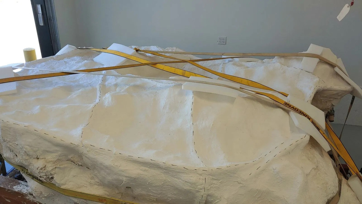 Nhà cổ sinh vật học - địa chất học James Krikland thuộc Cơ quan Khảo sát địa chất Utah cho biết có ít nhất 4 con non cùng một loài chưa từng biết. Chúng có kích thước tương đương con gà tây.