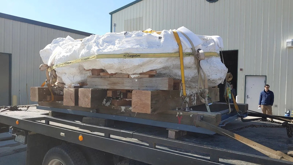 Dường như một con khủng long ăn cỏ không may bị mắc kẹt trong vũng cát lún đó và từ từ chết. Sau đó, một đàn Utahraptors - loài khủng long ăn thịt nhỏ bé nhưng hung dữ - đã cùng xông tới chỗ đó để ăn thịt con khủng long ăn cỏ xấu xố trên.