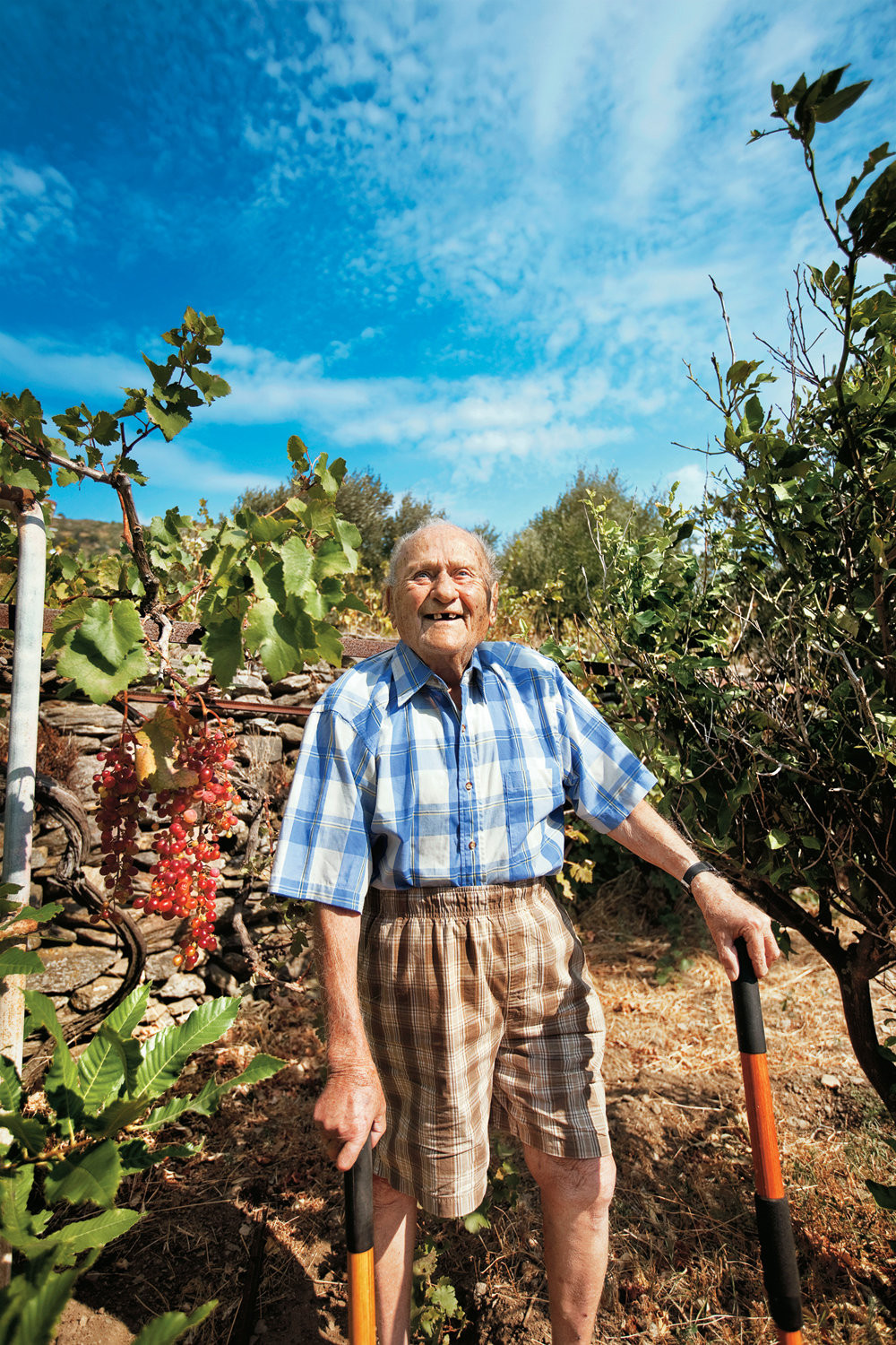 Các nhà khoa học đã tìm hiểu vì sao người dân ở đảo Ikaria có tuổi thọ trung bình cao hơn nhiều nơi trên thế giới. Sau một thời gian tìm hiểu, thu thập, phân tích và kiểm tra các dữ liệu, họ phát hiện chế độ ăn uống đóng vai trò quan trọng giúp cư dân địa phương sống thọ và khỏe mạnh ngay cả khi về già.