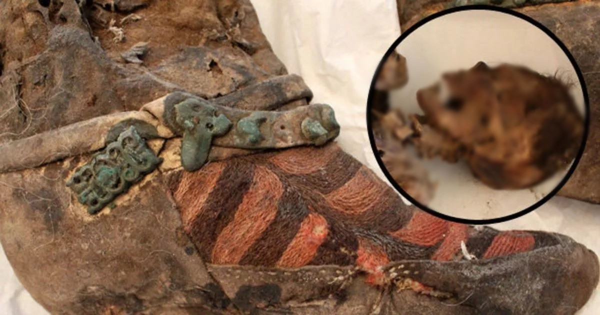 Các chuyên gia nhận thấy dấu vết của một vụ nổ trên cấu trúc xương mặt của bà cho thấy đây chính là nguyên nhân gây ra cái chết.