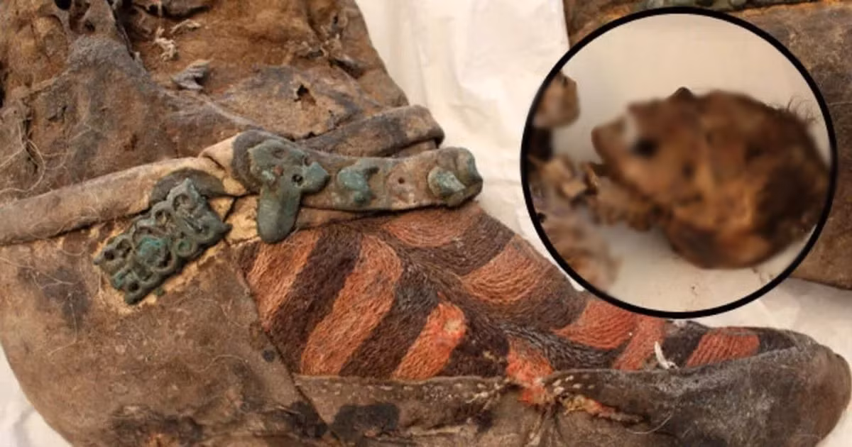 Các chuyên gia nhận thấy dấu vết của một vụ nổ trên cấu trúc xương mặt của bà cho thấy đây chính là nguyên nhân gây ra cái chết.