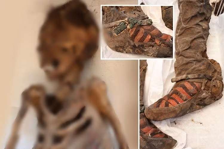  Xác ướp "đi giày adidas" được các nhà khảo cổ tìm thấy trong lớp băng ở dãy núi Altai ở độ cao 2.800m so với mực nước biển thuộc lãnh thổ Mông Cổ. Độ cao và khí hậu lạnh đã giúp bảo quản thi hài cùng các vật dụng cá nhân gần như vẹn nguyên theo thời gian.