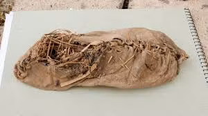 Chiếc giày được làm từ da bò, được ghép từ các mảnh da riêng và được tạo hình phù hợp với bàn chân của người đi.