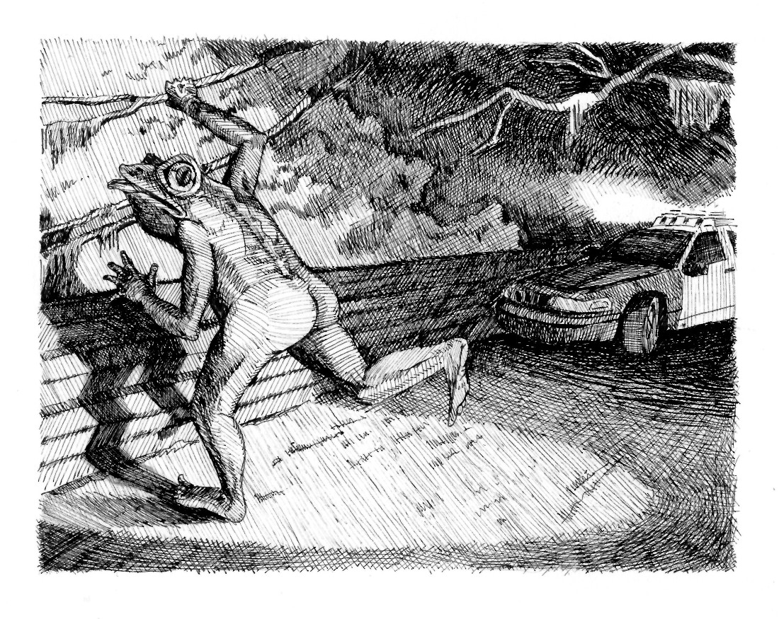 Ban đầu họ cứ ngỡ đó là con người nhưng khi lại gần thì kinh ngạc nhận ra đó là sinh vật "người ếch" có ngoại hình kỳ dị.