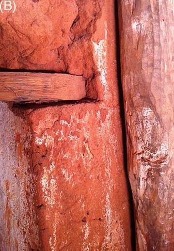 Đây là một trong những khám phá đầu tiên được thực hiện thông qua “paleoproteomics” - nghiên cứu về các protein vi lượng còn sót lại trong khảo cổ học.