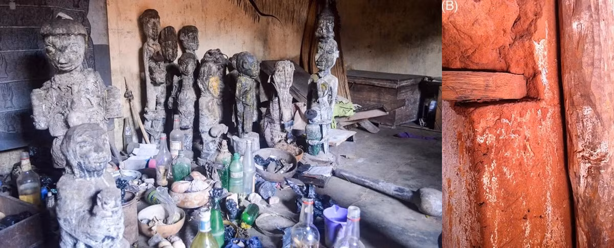 Nhà hóa sinh Jean Armengaud - chuyên gia về protein cổ xưa tại Ủy ban Năng lượng nguyên tử và Năng lượng thay thế của Pháp cho hay: “Khám phá này rất quan trọng vì nó cung cấp bằng chứng cụ thể về các nghi lễ và tập quán lịch sử”.