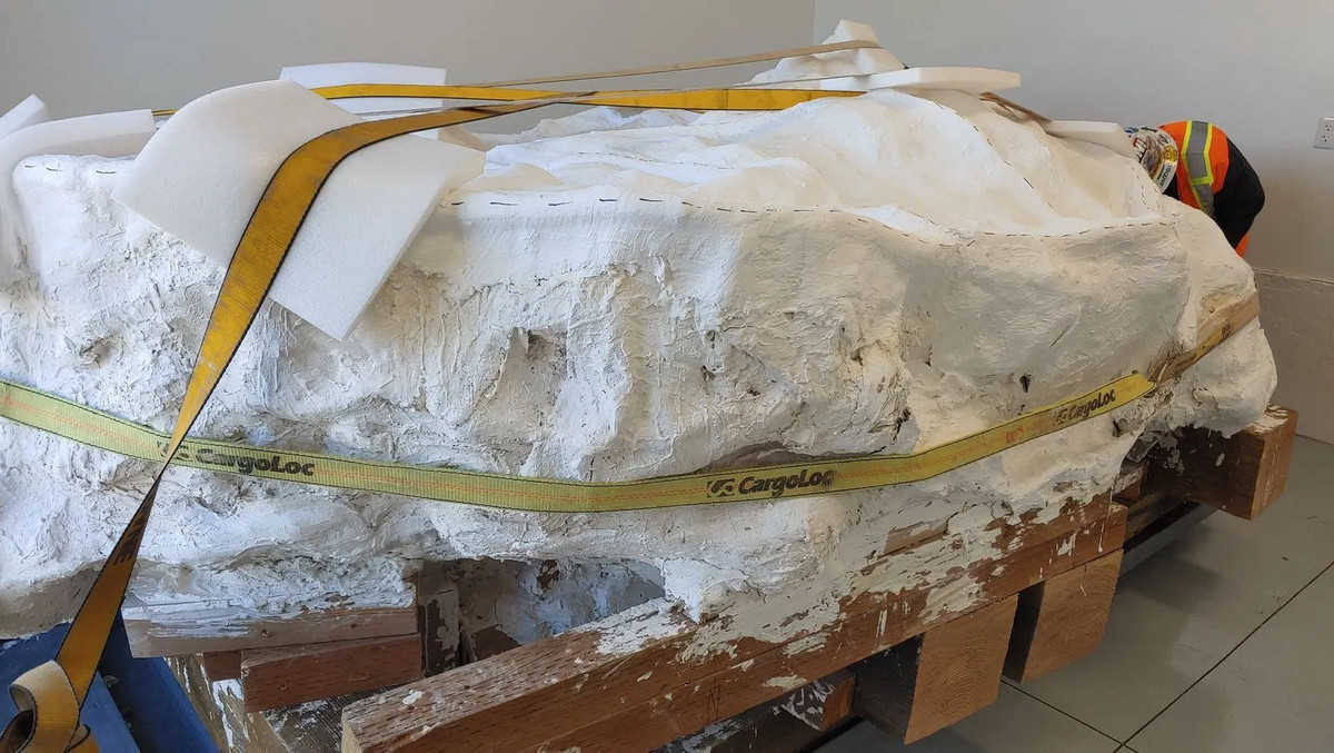 Thông qua một loạt kiểm tra sử dụng các công nghệ, kỹ thuật hiện đại, giới chuyên gia nhận định khối đá khủng ban đầu là một vũng cát lún.