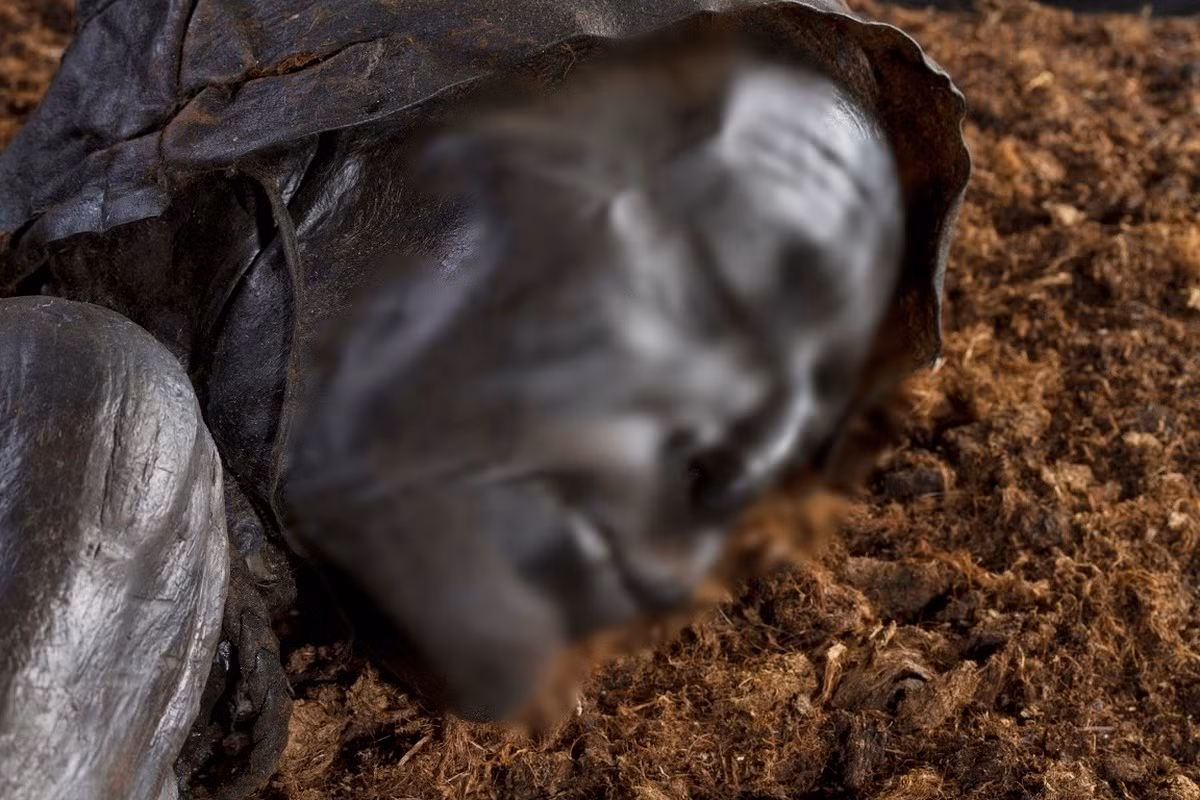 Vì vậy, anh em nhà Hojgaard nhanh chóng thông báo cho giới chức trách và cảnh sát. Sau một loạt kiểm tra, các chuyên gia xác định người đàn ông đó đã qua đời cách đây hơn 2.400 năm.