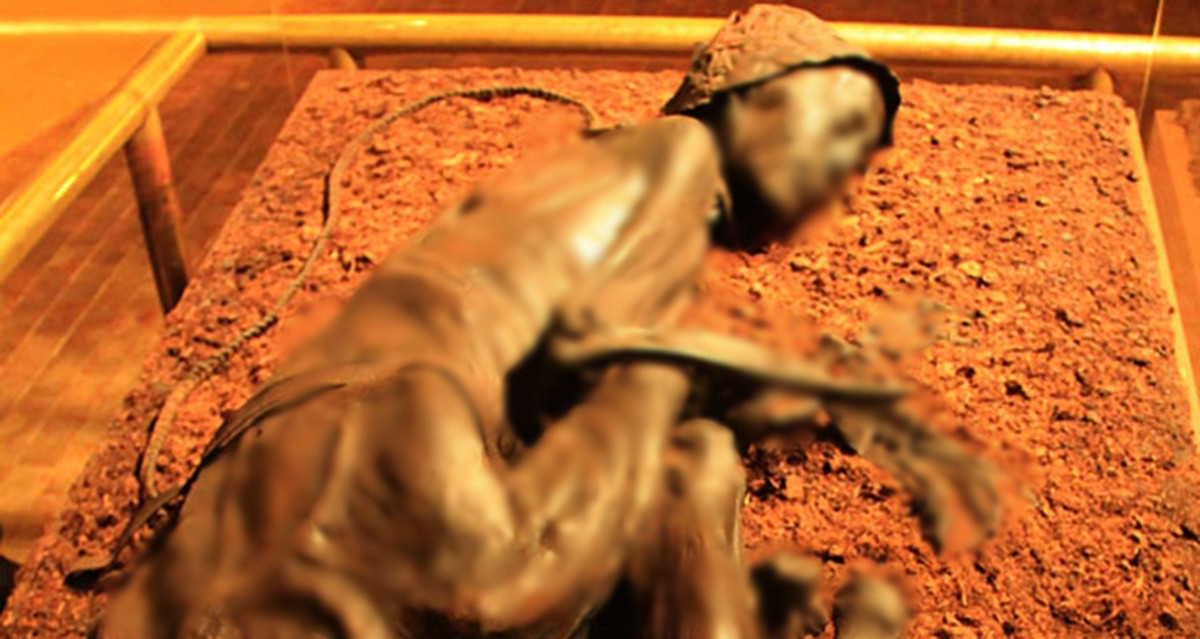 Xác ướp Tollund Man hoàn hảo tới mức các đặc điểm trên gương mặt, toàn bộ cơ quan nội tạng... không có dấu hiệu bị phân hủy. Tình trạng xác ướp tốt đến mức các chuyên gia có thể lấy dấu vân tay của người này.