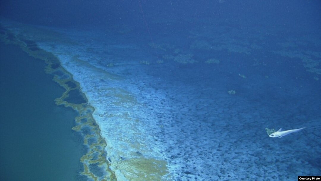 Các nhà nghiên cứu cho hay nước muối bên trong "hồ tử thần" là kết quả từ hydrocarbon sủi lên qua các phiến muối bị chôn vùi.