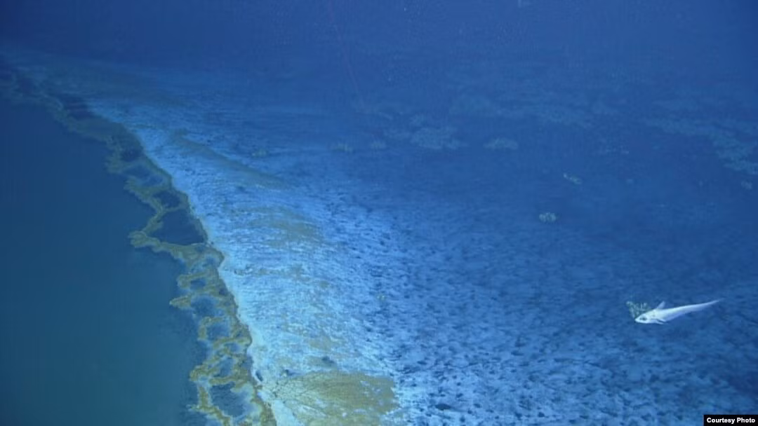 Các nhà nghiên cứu cho hay nước muối bên trong "hồ tử thần" là kết quả từ hydrocarbon sủi lên qua các phiến muối bị chôn vùi.