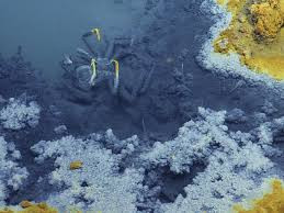 Ở vịnh Mexico, hydrocarbon phun ra bởi sự dịch chuyển các phiến muối ở vỏ Trái đất, hình thành khi nước bay hơi từ một vùng biển cổ đại cách đây hàng triệu năm.