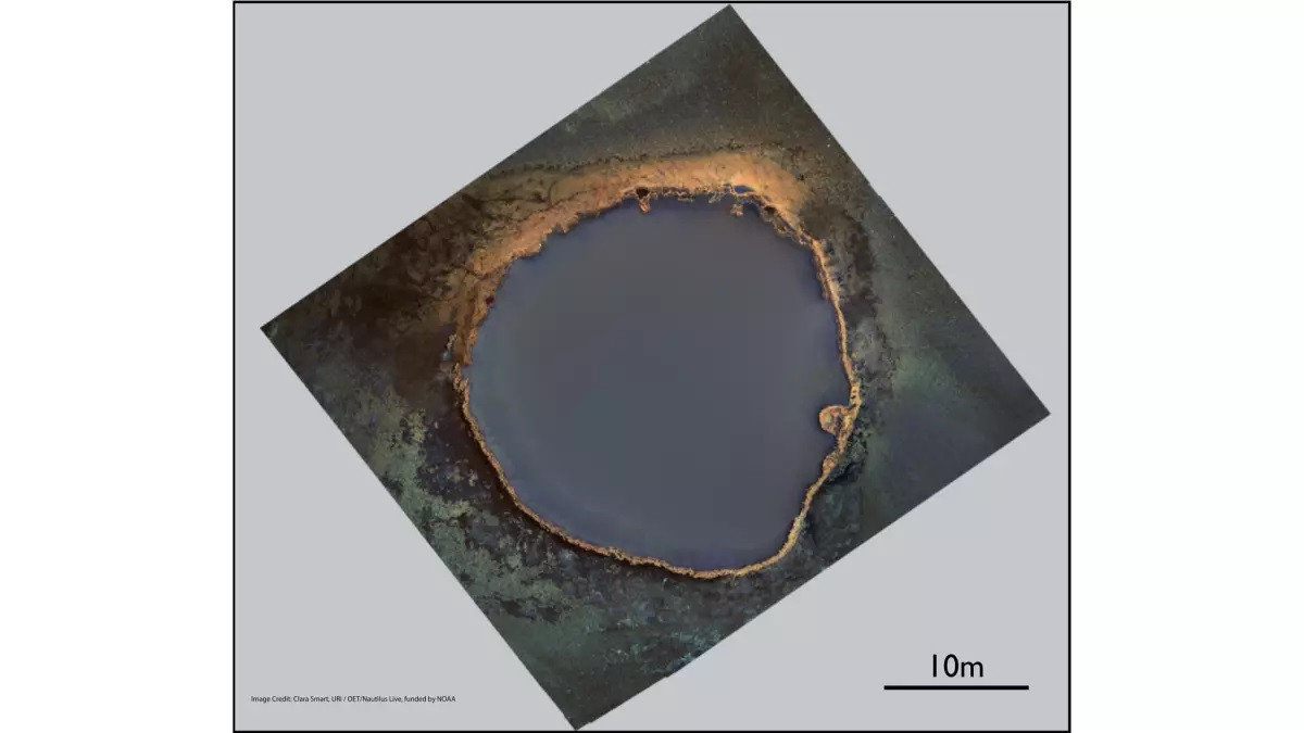 Khi nghiên cứu "bồn tắm tuyệt vọng", các nhà nghiên cứu phát hiện lỗ phun lạnh nằm ở độ sâu gần 1.000m bên dưới mặt biển, có chu vi 30,5m và độ sâu 3,7m. Đó là nơi hydrocarbon - thành phần chủ chốt của dầu khí - thoát ra từ đáy biển và tiến vào cột nước.